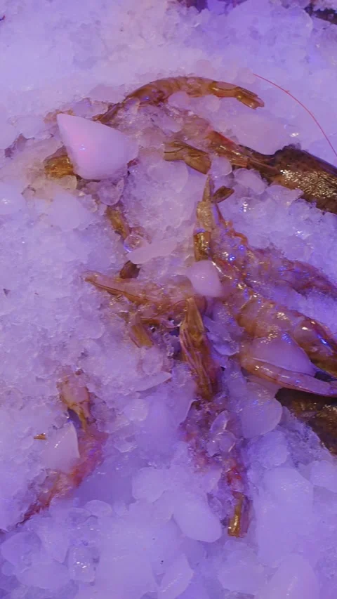 Array of fresh fish and shrimp on ice for sale Stock-Footage 331957748