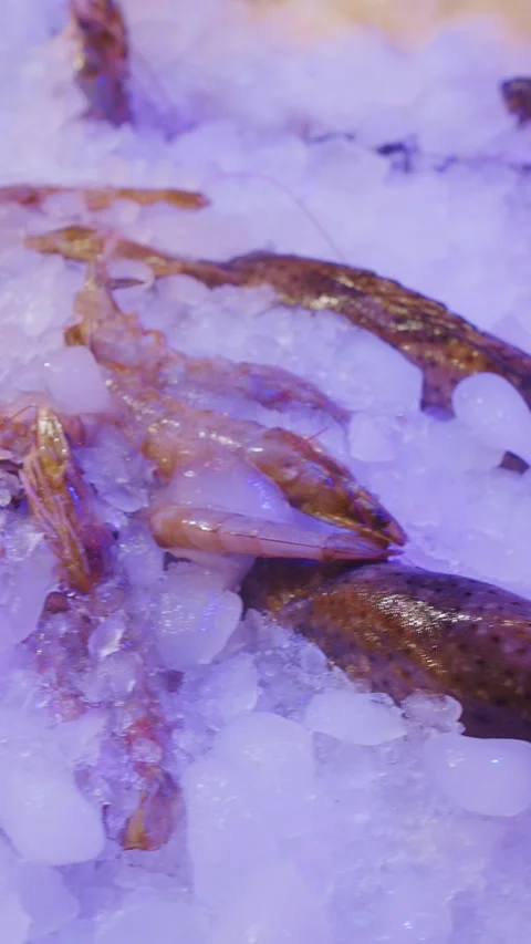Array of fresh fish and shrimp on ice for sale Video stock 341175108