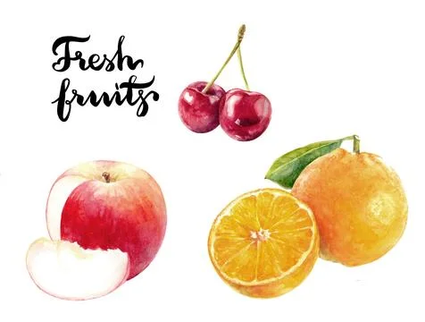 An array of fresh fruits such as apples, cherries, and slices of orange in the Stock Illustration
