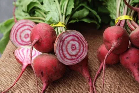 Array of fresh radishes is artfully arranged on a solid brown surface: Chioggia Foto stock