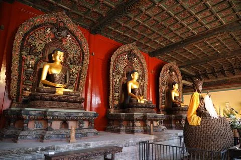 Array of golden Buddha statues siting in a row against a red wall in the Beijing Stock Photos