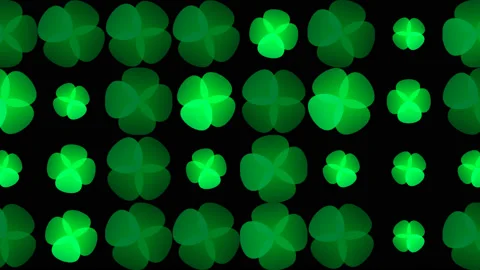 Array Grid of Slowly Rotating Four Leafed Leaf Clovers Stock Footage 153942811