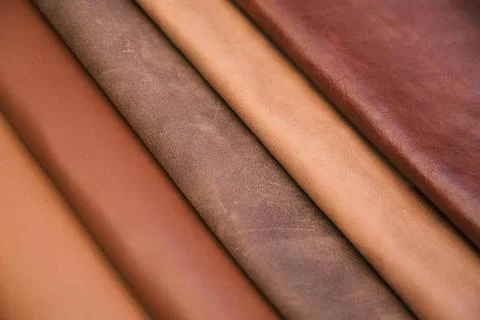 Array of leather fabric samples in different shades neatly placed on a table, re Stock Photos