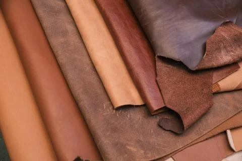 Array of leather fabric samples in different shades neatly placed on a table, re Stock Photos
