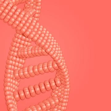 Array of light red spheres in form of DNA strand piece. Futuristic medicine s Stock Illustration