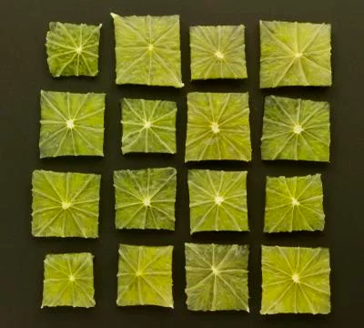 Array of lime Stock Photos
