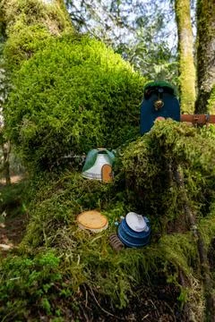 Array of man-made wooden nests on a tree branch in a lush forest environment 스톡 사진