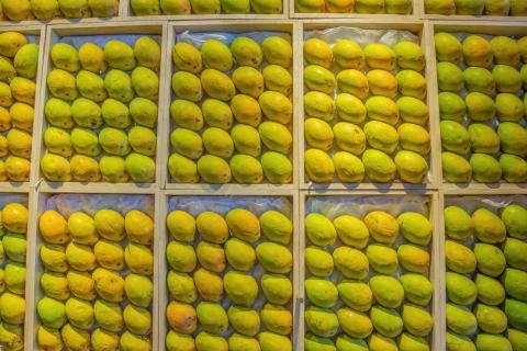 An array of mangos in wooden boxes Stock Photos