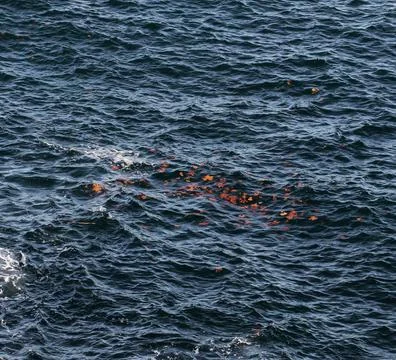 Array of orange leaves floating in a tranquil turquoise-blue ocean. Stock Photos