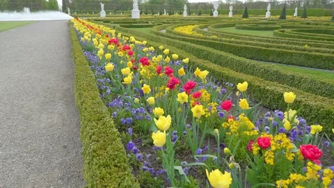 Array of pretty flowers bloomed in the park Stock Footage