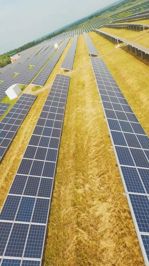 An Array of Solar Energy Panels is Positioned Under a Brilliantly Bright Sky on 動画素材 305981800