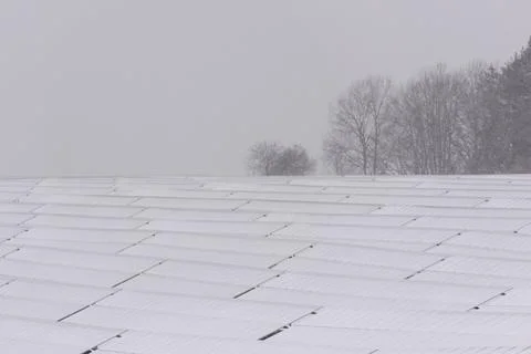 Array of solar modules in solar park on field completely covered with snow in Stock Photos