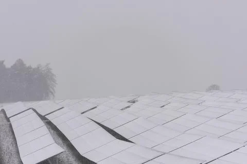 Array of solar modules in solar park on field completely covered with snow in Stock Photos