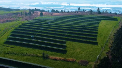 Array of Solar Panels on Hilltop Stock-Footage 332894397