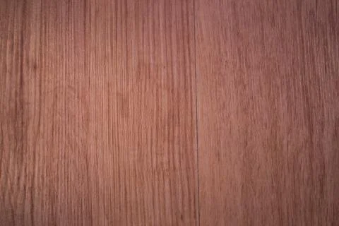 An array of trees. Wood texture. Background Stock Photos