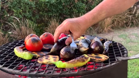 An array of whole and sliced vegetables, including eggplants, tomatoes Stock Footage 319504105