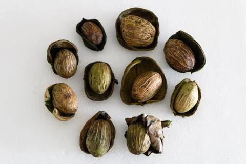 Array of Whole Nuts Background Stock Photos