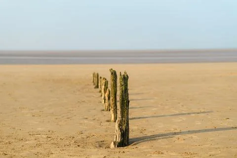 Array of wooden logs in the sand under a clear sky Stock Photos
