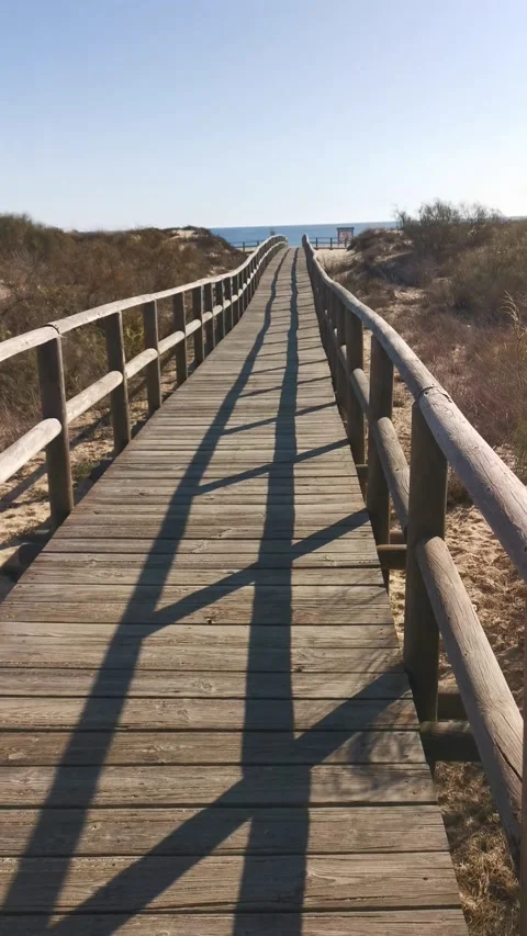 Arrival to the beach 動画素材 132431983