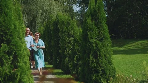 Arrival of guests, guests going to an event Stock Footage 282053900