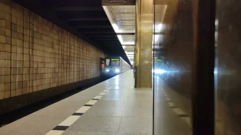 Arrival of the metro train at the station Stock Footage 186961248
