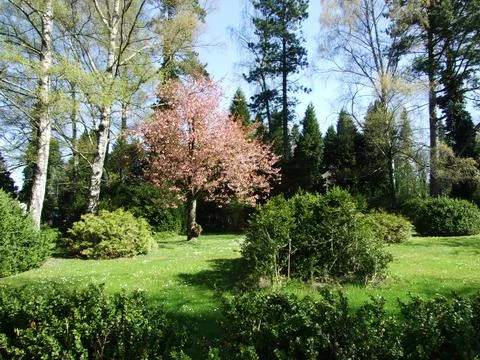 Arrival of spring and awakening of nature in St. Gallen Stock Photos