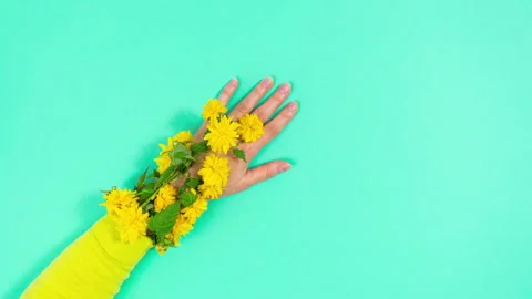 The arrival of spring and symbol of femininity.  Stock Footage 331018474
