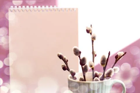 With the arrival of spring: a bouquet of flowering willow branches, a notepad Stock Photos