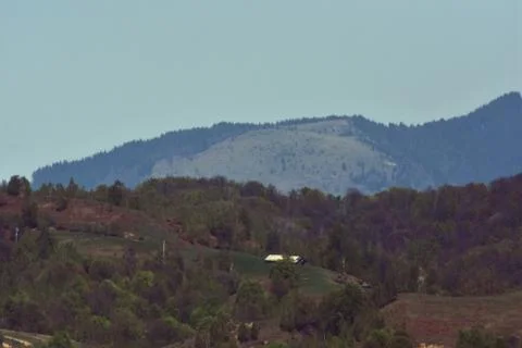 Arrival of spring in the forest Stock Photos