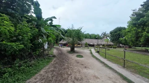 Arriving at Clearing with Thatched Huts in Tropical Park Stock Footage 342570844