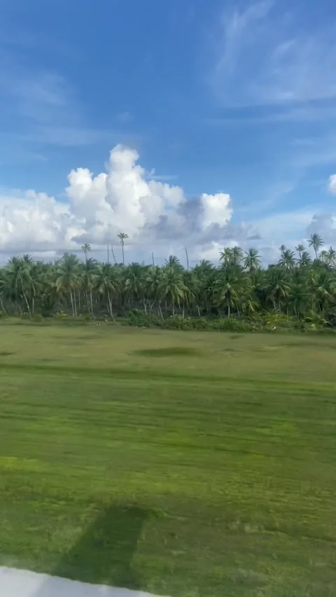 Arriving by plane in Rangiroa Stock-Footage 344427569