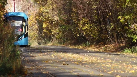 Arriving tram in a forest Stock Footage 104882980