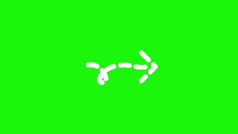 Arrow animation on green screen background Video stock 334775457