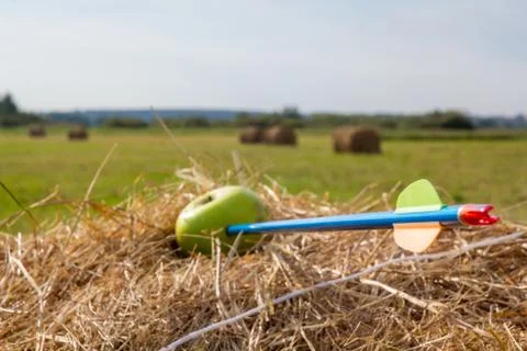 Arrow caught the Apple in a haystack Stock Photos