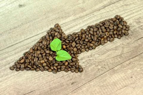 Arrow from the coffee beans with mint tea leaf wooden background sowing lef.. Stock Photos