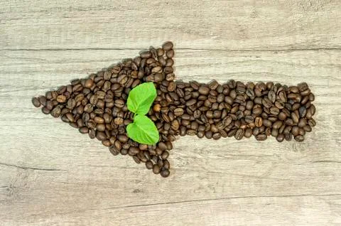 Arrow from the coffee beans with mint tea leaf on wooden background Stock Photos