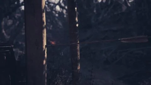 An arrow embedded in a tree trunk during twilight in a dense forest area Illustrazione stock