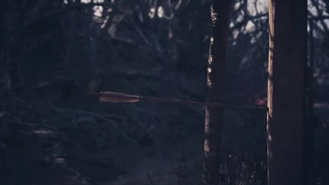 An arrow embedded in a wooden post amidst a dark forest setting Stock Illustration
