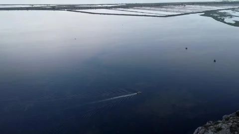 The arrow Stock Footage 248208346