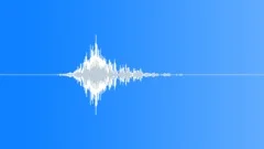 Arrow hit flesh 04 Sound Effect