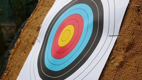 Arrow hit the target Stock Footage 81128921