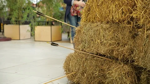 An arrow hits the haystack Stock Footage 103853293