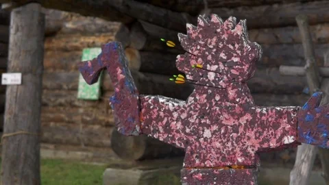 Arrow hits the in the head of the target Stock Footage 82406964