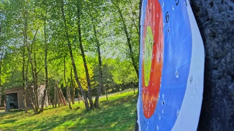 The arrow hits the target and the camera falls 库存影片 255896212