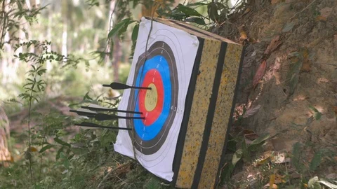 Arrow hits the target Stock Footage 85848116