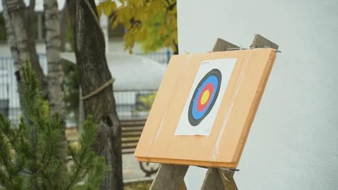 Arrow hits the target Stock Footage 94323872