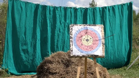 Arrow hits the target Stock Footage 104030543