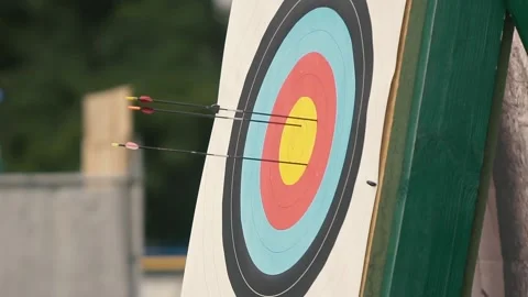 Arrow Hits the Target Stock Footage 195207368