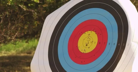 Arrow hitting Bulseye Stock Footage 81225455