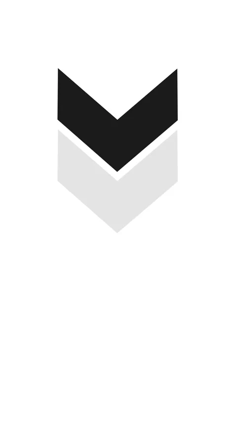 Arrow icon concept animation, arrows sign from top to botom animation 2 스톡 동영상 318088655